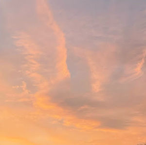 Meet your Posher, Julianna